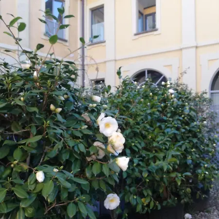 Lisander And Terrace 4*
