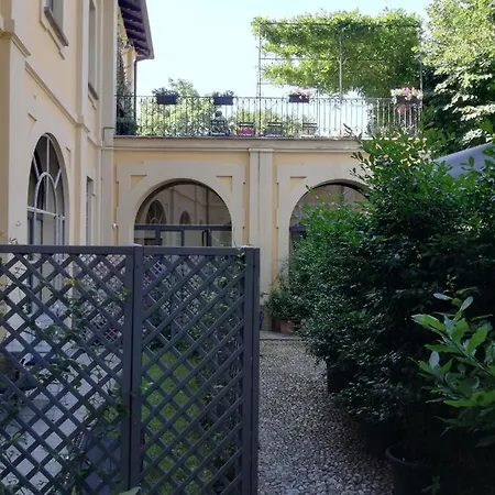 Lisander And Terrace
